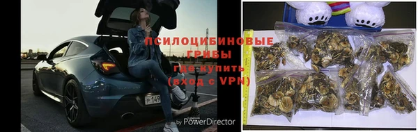 дмт Абаза