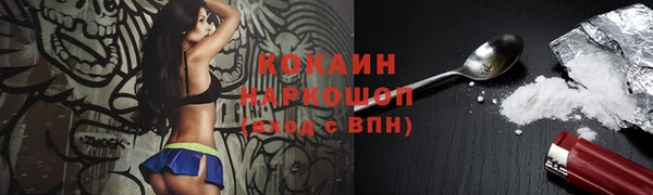 твердый Алексеевка