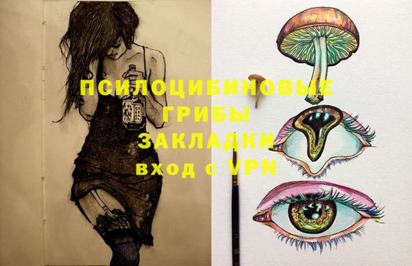 твердый Алексеевка