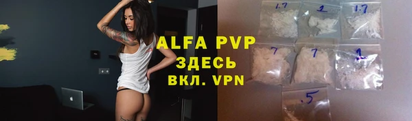 дмт Абаза